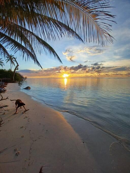 Bungalow Atypique Ti Bambou A 500M De La Plage Sainte-Anne  Exteriör bild