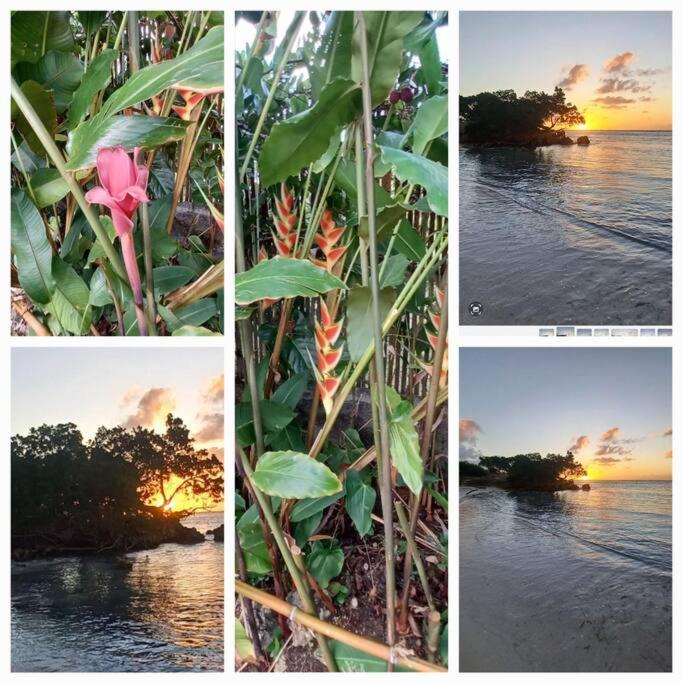 Bungalow Atypique Ti Bambou A 500M De La Plage Sainte-Anne  Exteriör bild